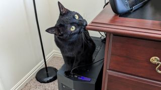 Black cat on computer tower.