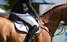 saddle close up