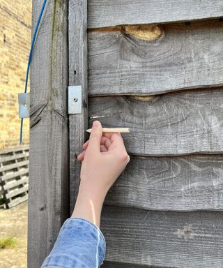 A female wearing blue denim jacket using pencil to mark out fitting of wooden fence panel in backyard