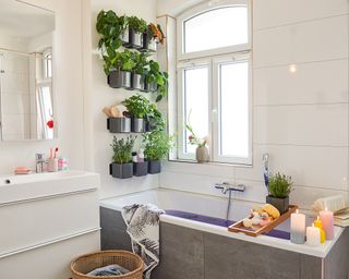 A bathroom with wall-mounted houseplants