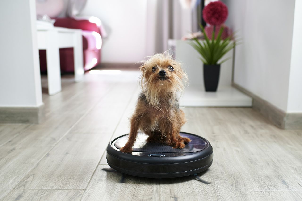 Best robot vacuum