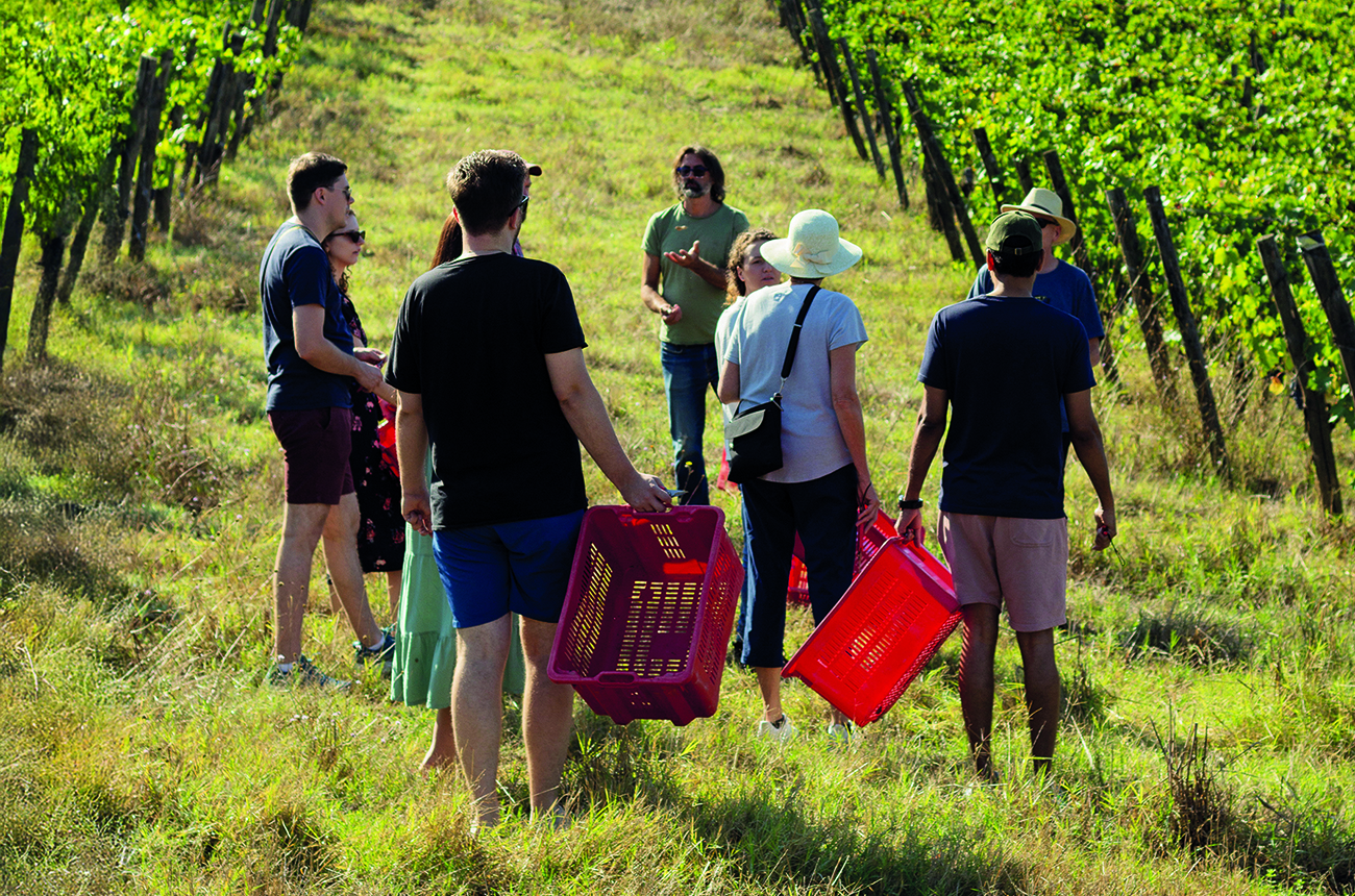 nine people standing in a vineyard