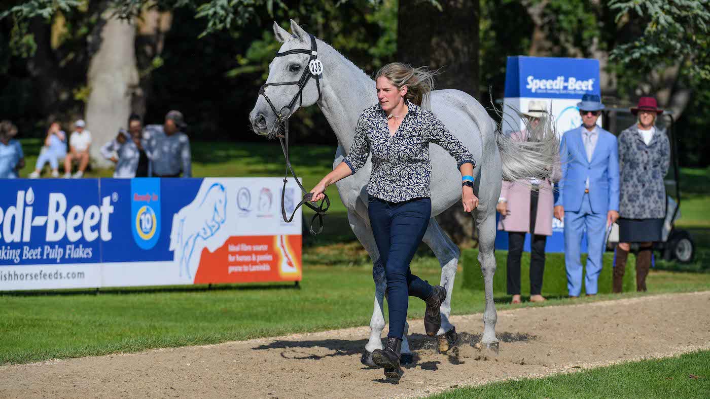 Blenheim Horse Trials first trot-up