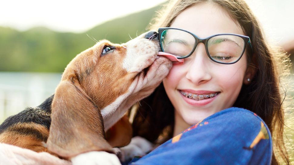 10 Signs Your Dog Loves You PetsRadar