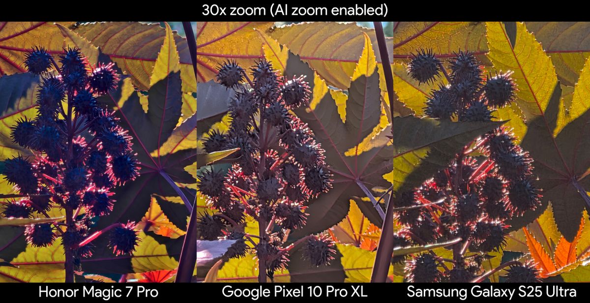 Comparing photos from the Google Pixel 10 Pro XL, Samsung Galaxy S25 Ultra, and Honor Magic 7 Pro of spiky seeds on a plant at 30x zoom