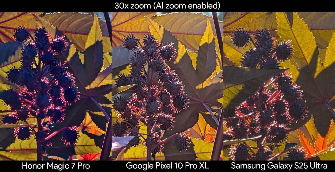 Comparing photos from the Google Pixel 10 Pro XL, Samsung Galaxy S25 Ultra, and Honor Magic 7 Pro of spiky seeds on a plant at 30x zoom