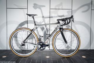 Peter Sagan's custom Specialized bike for Paris-Roubaix - Gallery