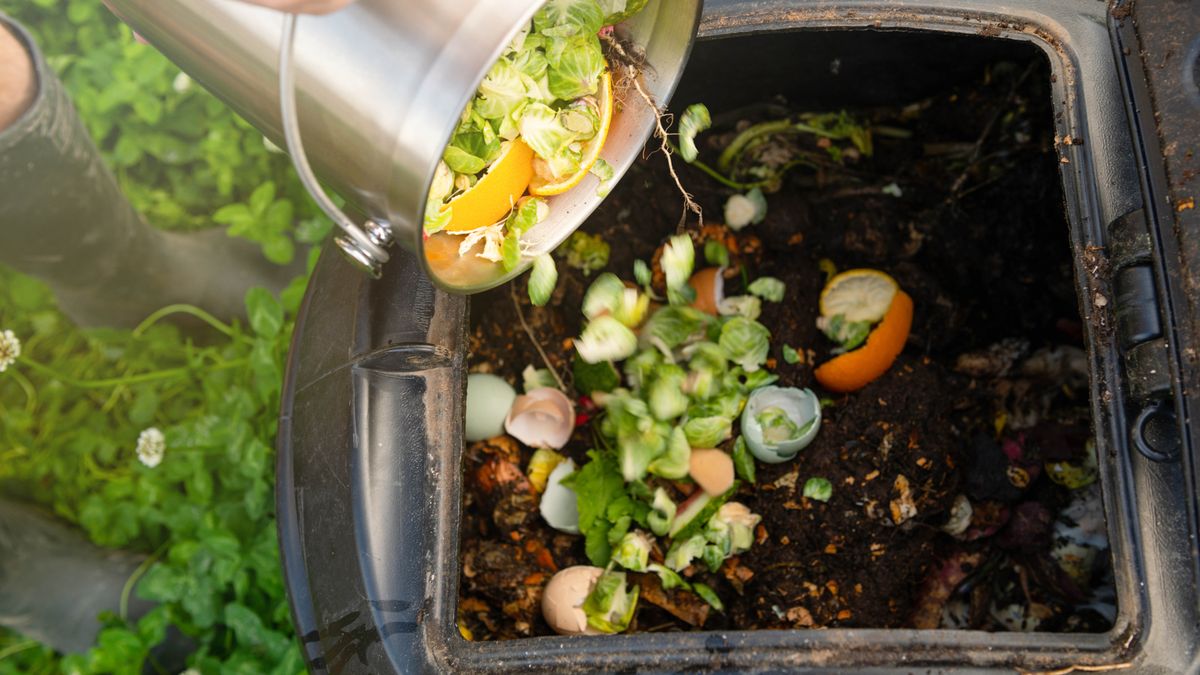 7 surprising ways you can reuse old coffee grounds Tom's Guide