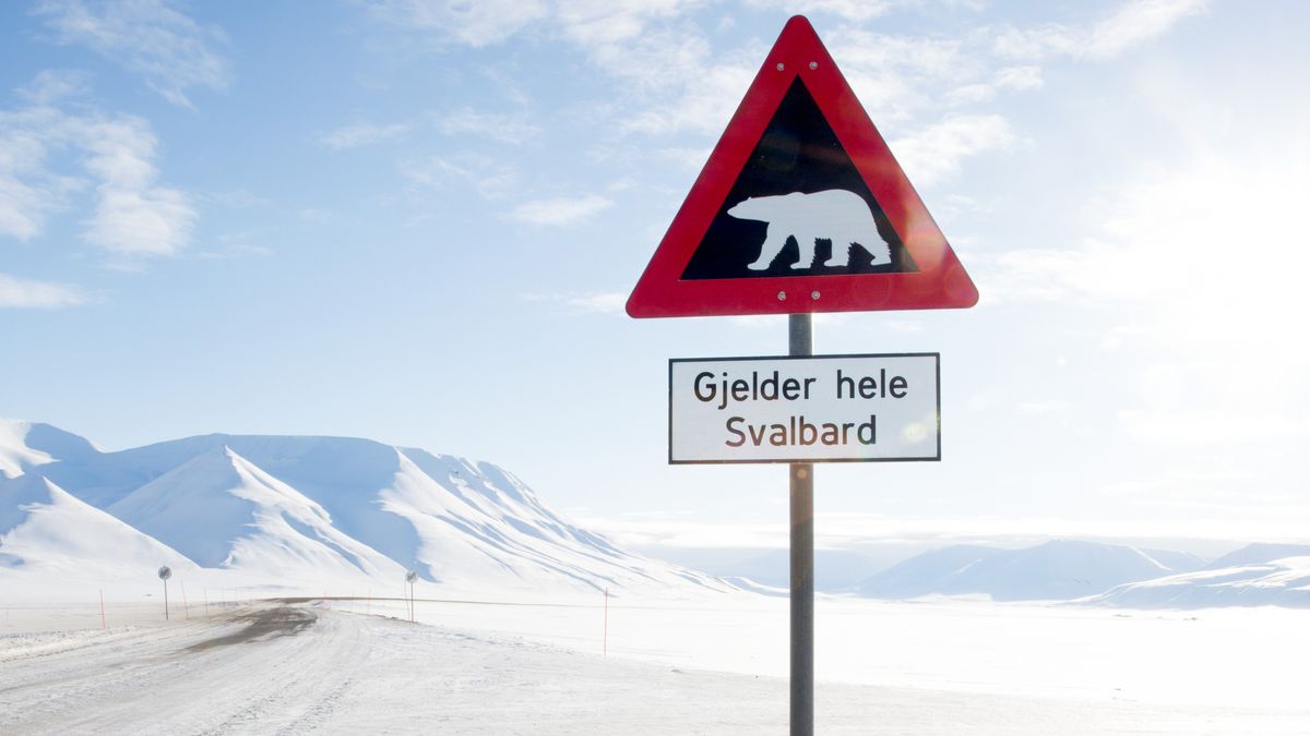 Polar bear warning sight in Svalbard