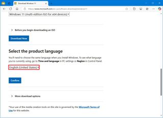 Windows 11 ISO language