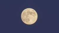 a bright full moon in a dark blue night sky