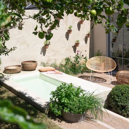 Pool with concrete edges and back wall with plants on