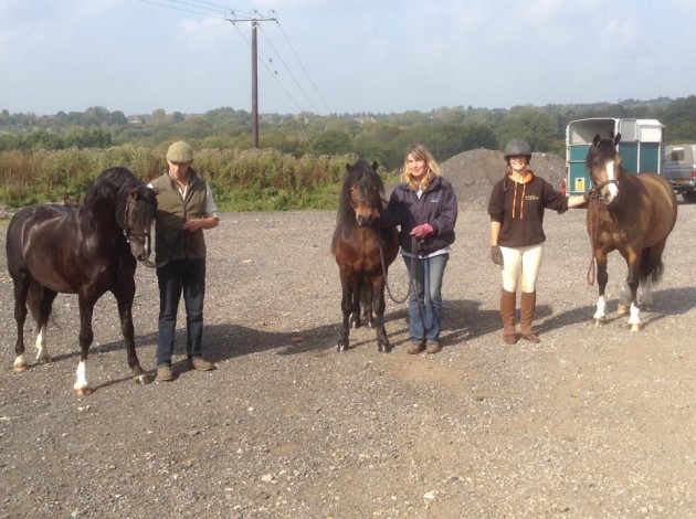ponies-hoys-e1444062431155.jpg