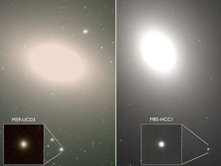 Undergraduates at San Jose State University found the two densest known galaxies orbiting larger host galaxies.
