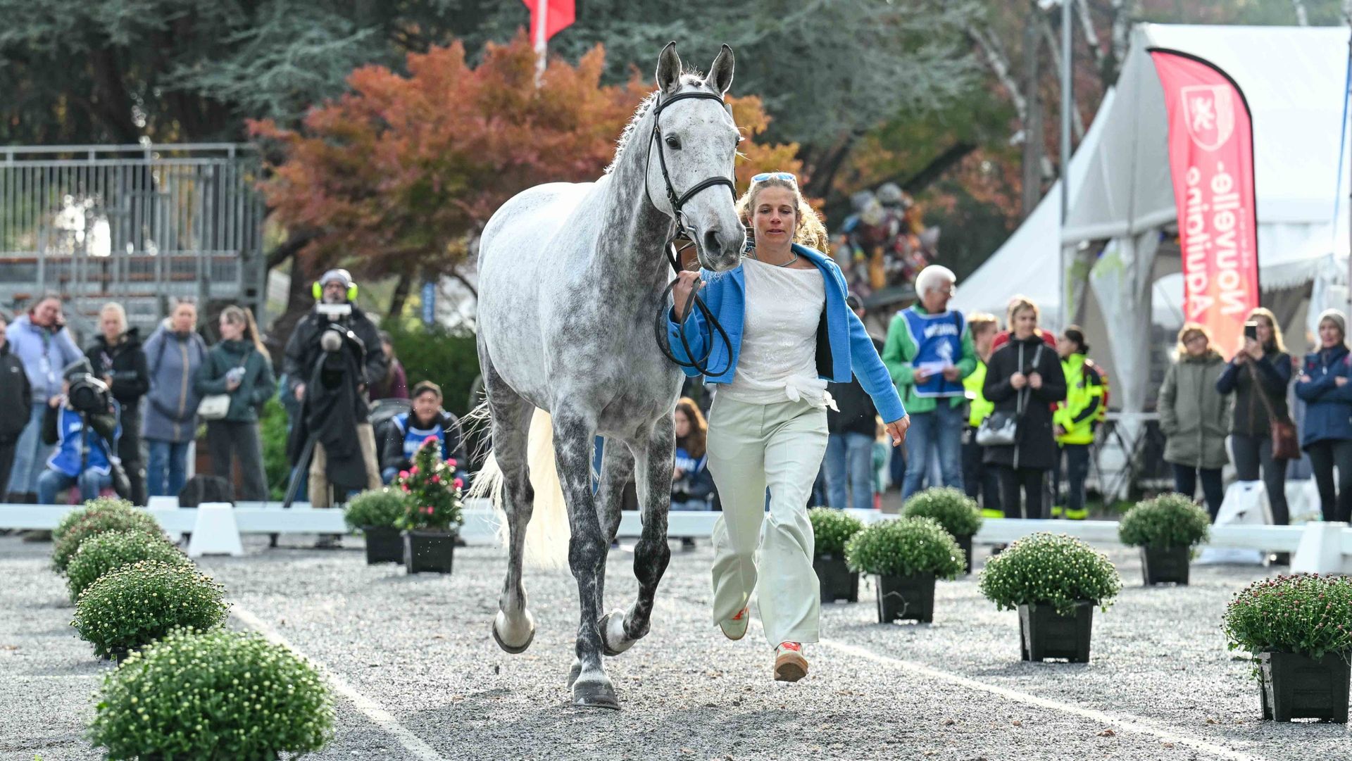 Pau Horse Trials trot-up first horse inspection