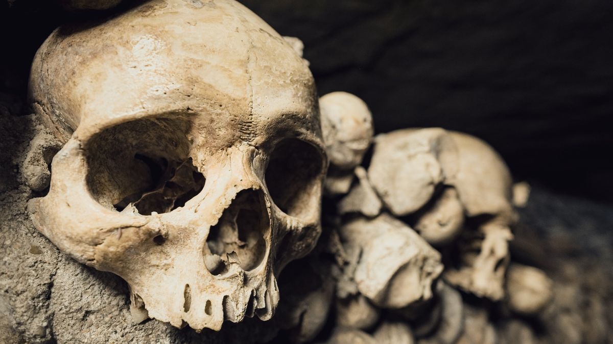  Earliest evidence of humans catching disease from animals dates to 6,500 years ago 