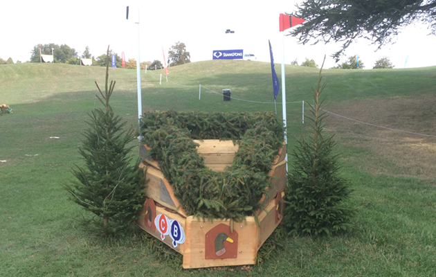 Blenheim Fences 2018