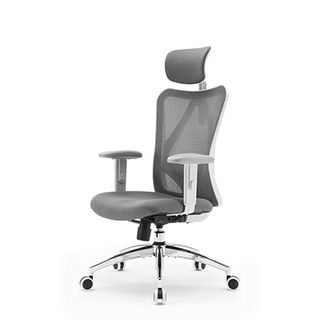 The Sihoo M18 chair. 