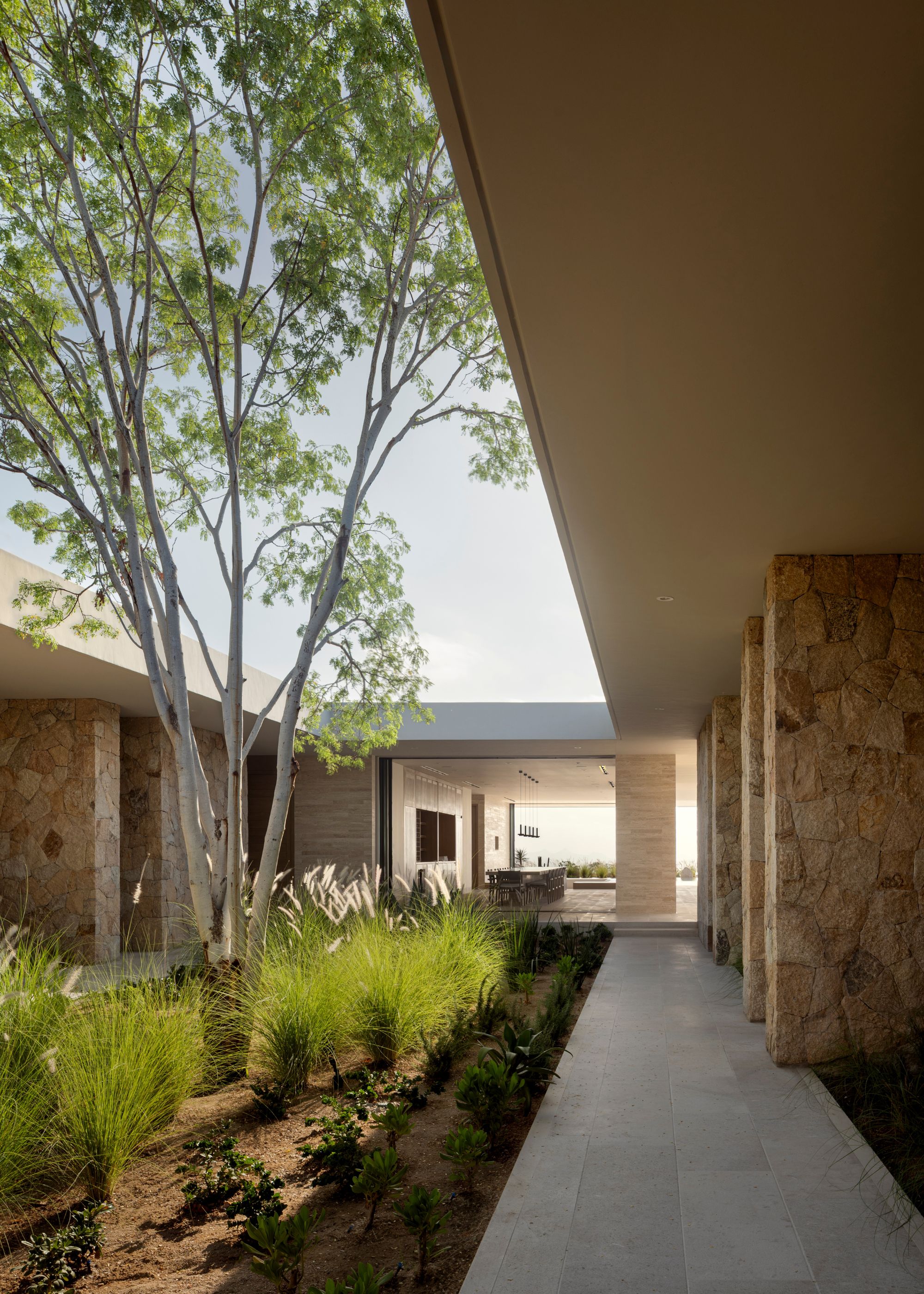 A courtyard garden with a tall tree, feathered grass, and a long stone pathway