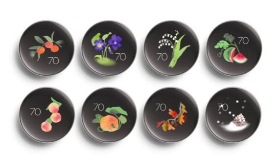 Nest Learning thermostat (4th gen) seasonal faces