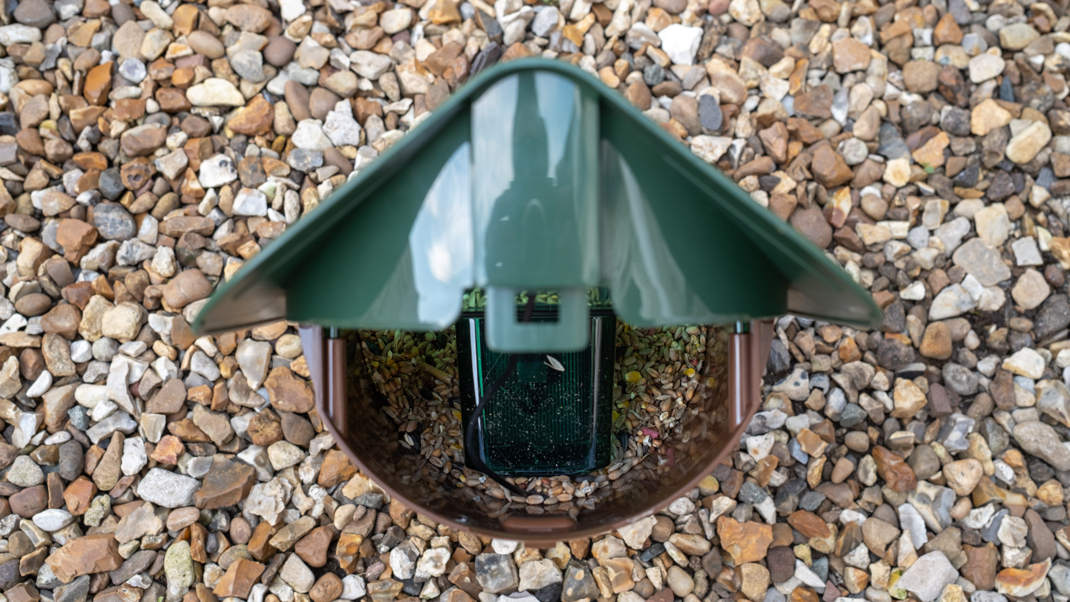 Camouflage EZ Birdfeed