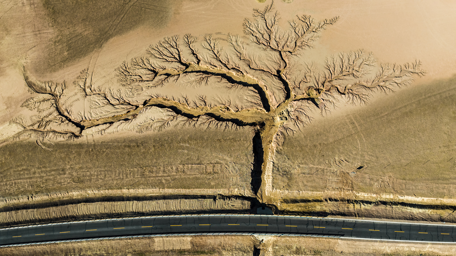 Li Ping's winning aerial image in Nature Conservancy Photo Awards2022