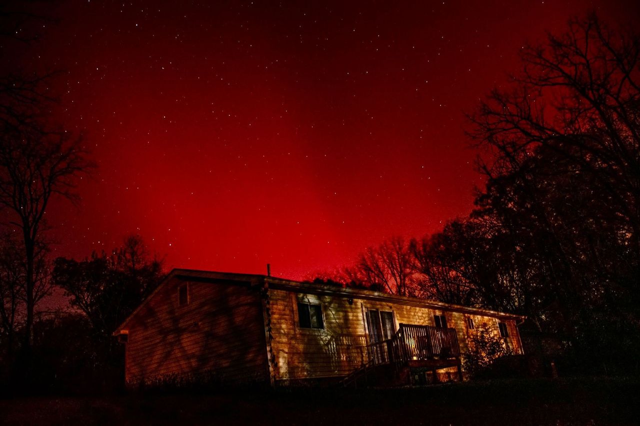 vibrant red auroras filling the sky with trees silhouetted in the foreground.