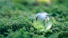 a small glass globe placed on a bed of green leaves and moss