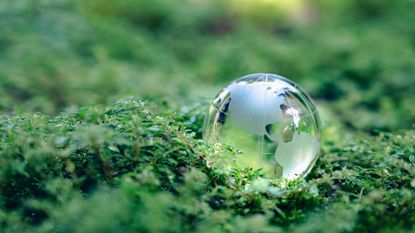 a small glass globe placed on a bed of green leaves and moss