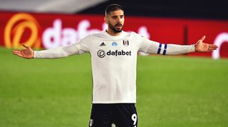 Aleksandar Mitrovic, FPL