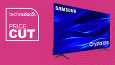 The Samsung 65-inch TU690T 4K TV on a pink background with text next to it saying Price Cut.