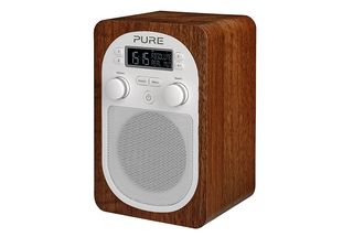 Best radio under £100