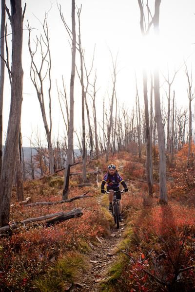 Tussey Mountain singletrack in the Trans-Sylvania Epic