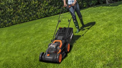 Worx WG779E cordless lawn mower in use