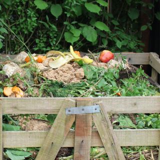 Wooden compost bin with food scraps and plant waste at RHS Chelsea Flower Show