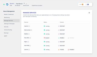 Cloudways' user dashboard in use, showing managed services