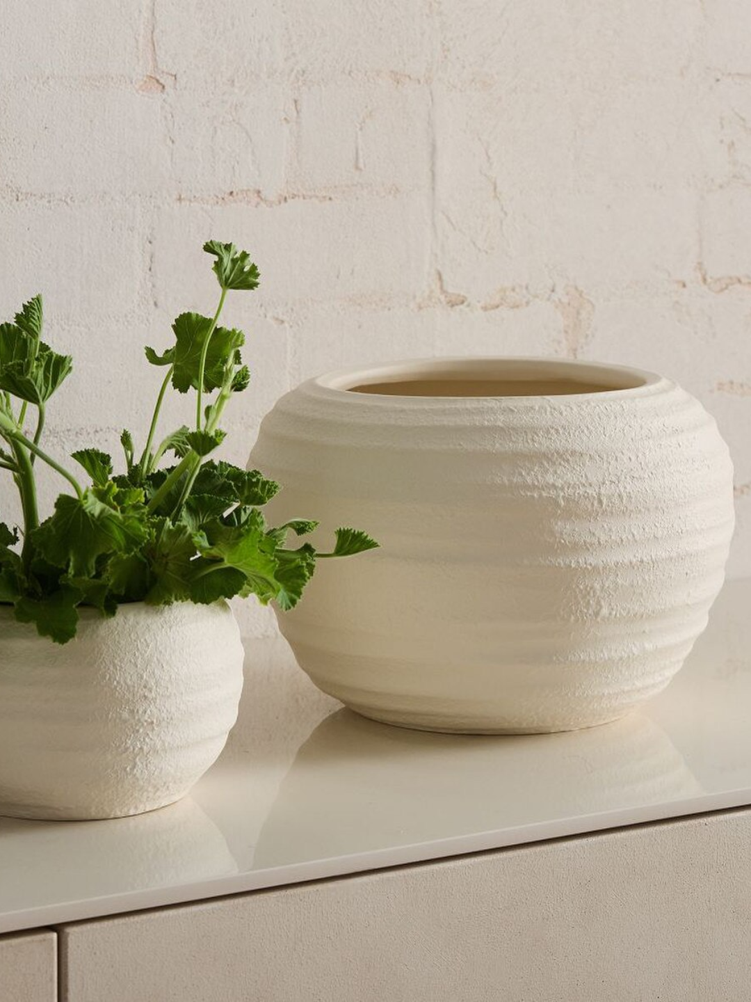 A textured round ceramic tabletop planter from West Elm
