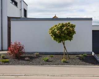 modern front garden with gravel and small trees
