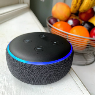 echo dot green and blue light