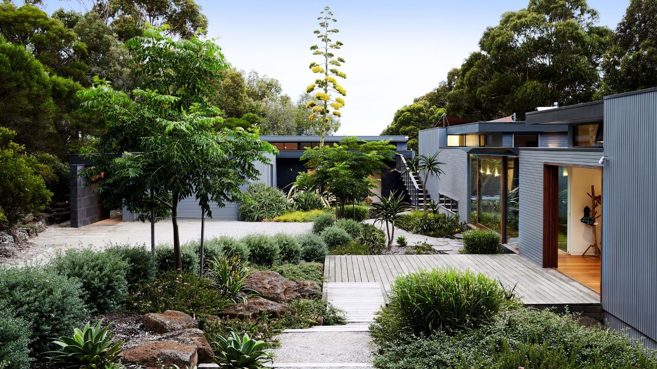 A beautiful backyard with green plants and shrubs 