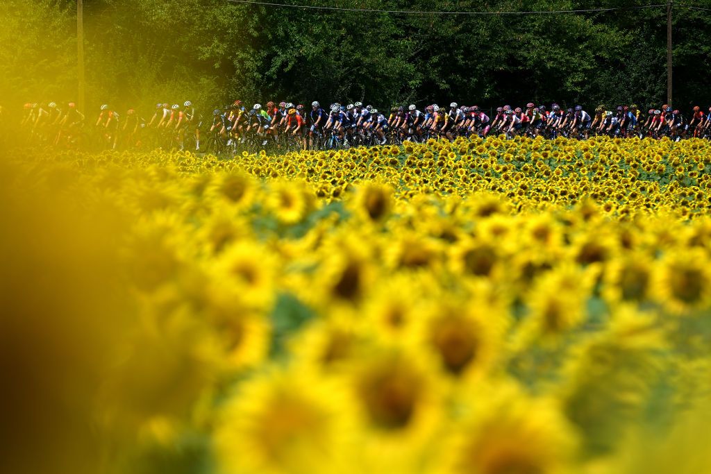 FIDENZA ITALY JULY 03 A general view of the peloton passing through a flowery landscape prior to the 34th Giro dItalia Donne 2023 Stage 4 a 134km stage from Fidenza to Borgo Val di Toro UCIWWT on July 03 2023 in Fidenza Italy Photo by Dario BelingheriGetty Images