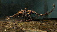 A skeletal dragon from Skyrim.