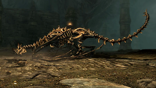 A skeletal dragon from Skyrim.