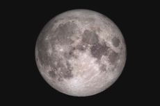Largest 'Supermoon' Since '48 Will Not Be This Close Again Until 2034 | Video