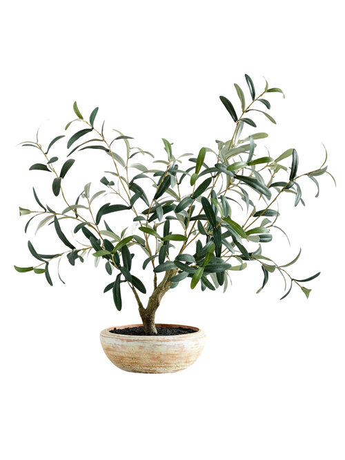 Faux Potted Olive Houseplant