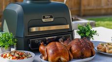The blue and gold Ninja Woodfire Pro electric grill on an outdoor table surrounded by fried chickens, sides, and potatoes 