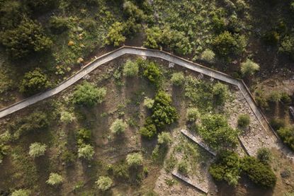 green landscape by studio Terremoto in california, peppered with light timber structures