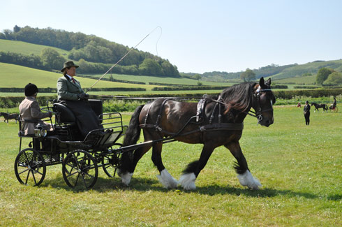 Sue Johnson stands exercise champion at Monmouth in 2013