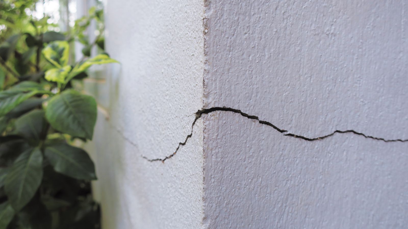 How to fix cracks in plaster walls: in only 4 steps |
