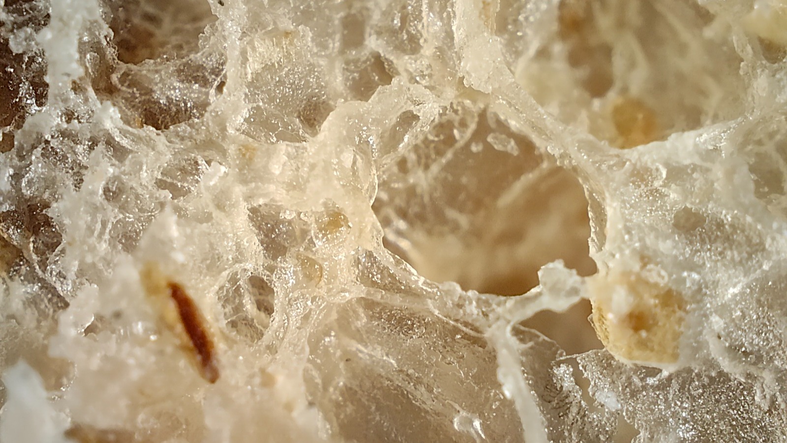 Microscopic picture of bread taken using the Realme GT 2 Pro